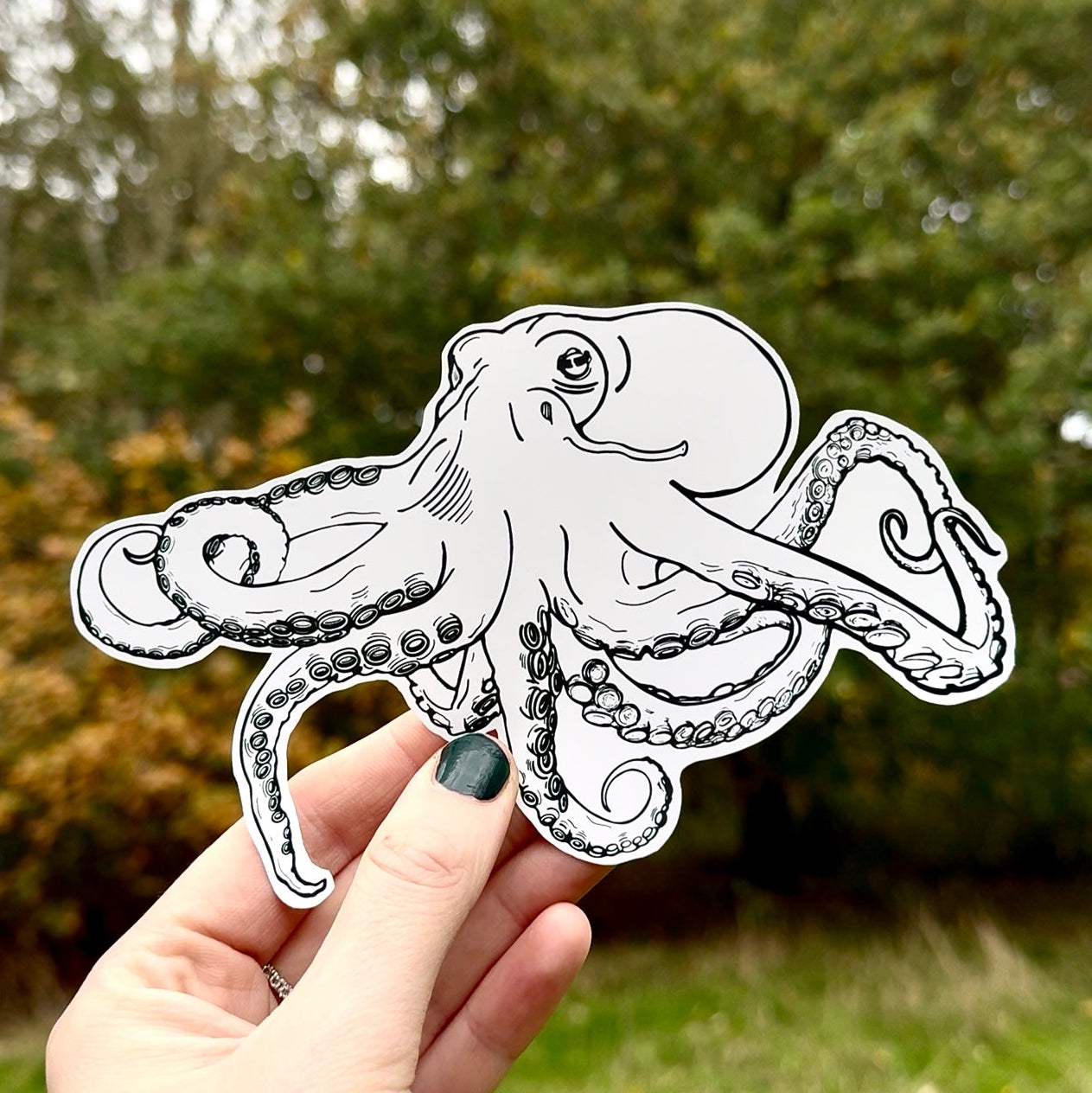 Octopus Tattoo Design (4) – Digital Linework Download